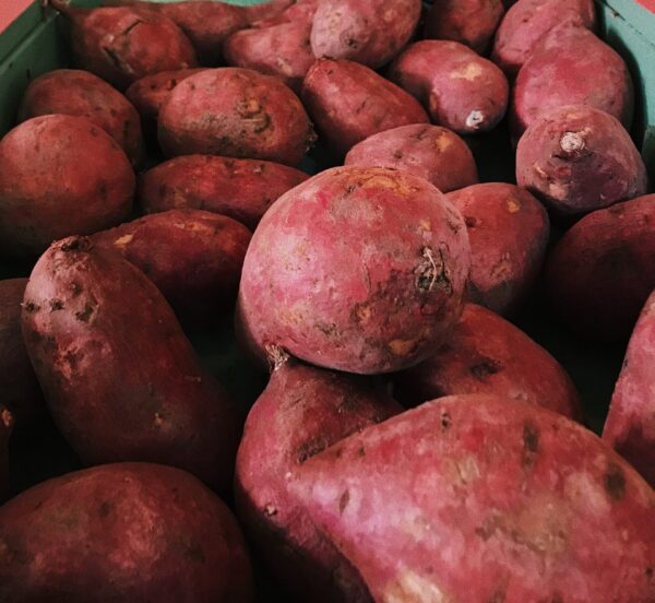 Sweet Potato