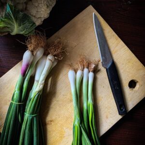 Spring Onion