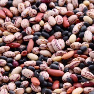 Sugar Beans