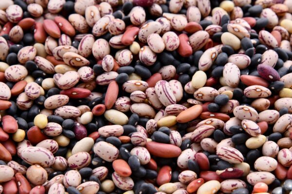 Sugar Beans