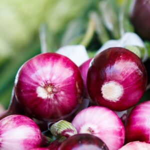 Red Onion
